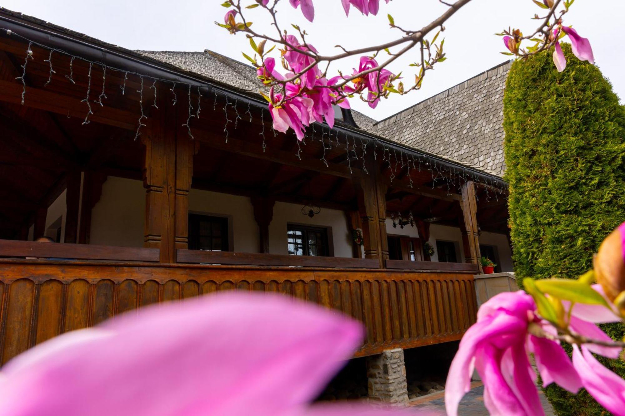 Casa Elena - Resort & Spa Voronet Luaran gambar